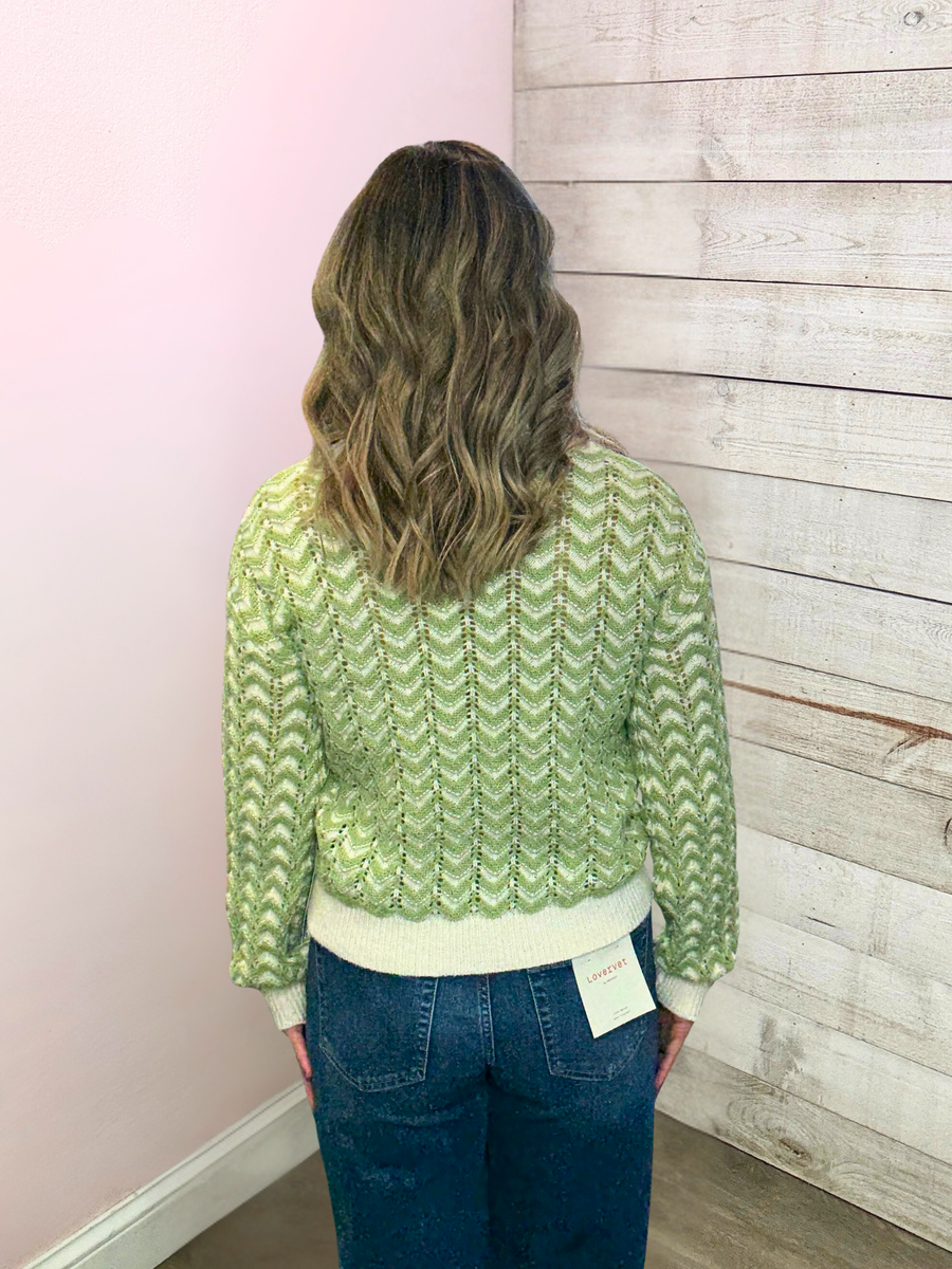 "Basic Instincts" Green Zigzag Sweater