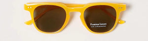 Tinted Wayfarer Sunglasses